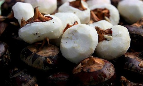 霉菌-细菌性阴道炎症状有哪些网 - 细菌性阴炎是怎样的症状,细菌性阴炎是什么样的症状